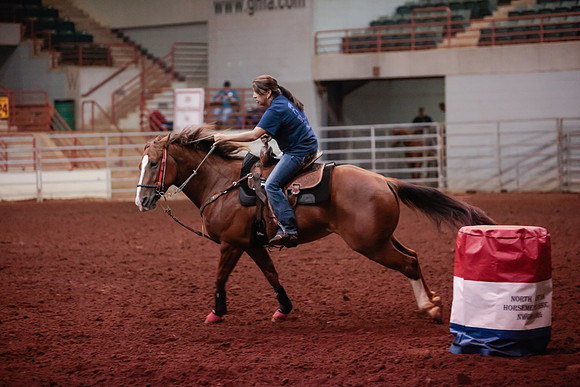 www.ngaphoto.com 2015 Georgia Federation of Saddle Clubs Championship Horse Show