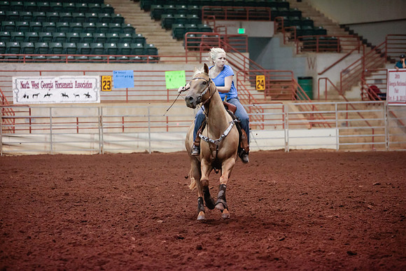 www.ngaphoto.com 2015 Georgia Federation of Saddle Clubs Championship Horse Show