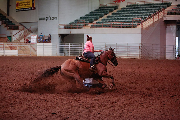 www.ngaphoto.com 2015 Georgia Federation of Saddle Clubs Championship Horse Show