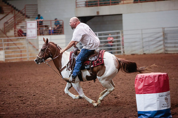 www.ngaphoto.com 2015 Georgia Federation of Saddle Clubs Championship Horse Show