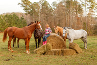 Brown Horse Sample