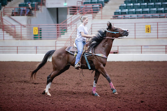 www.ngaphoto.com 2015 Georgia Federation of Saddle Clubs Championship Horse Show