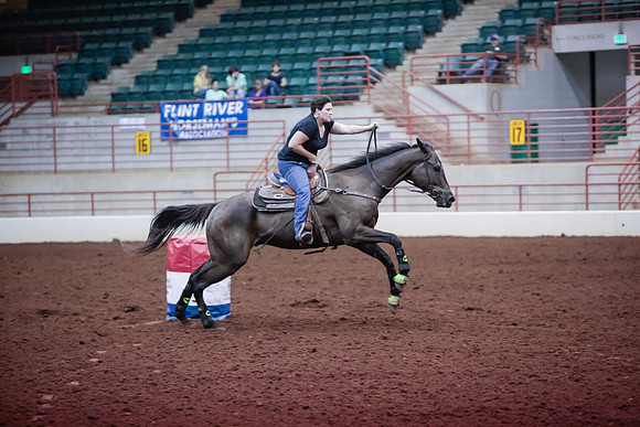 www.ngaphoto.com 2015 Georgia Federation of Saddle Clubs Championship Horse Show