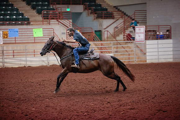 www.ngaphoto.com 2015 Georgia Federation of Saddle Clubs Championship Horse Show