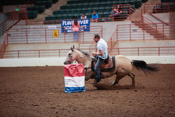 www.ngaphoto.com 2015 Georgia Federation of Saddle Clubs Championship Horse Show