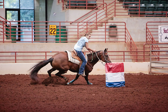www.ngaphoto.com 2015 Georgia Federation of Saddle Clubs Championship Horse Show