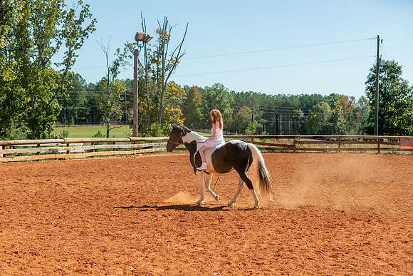 20241020-IMG_0956-2