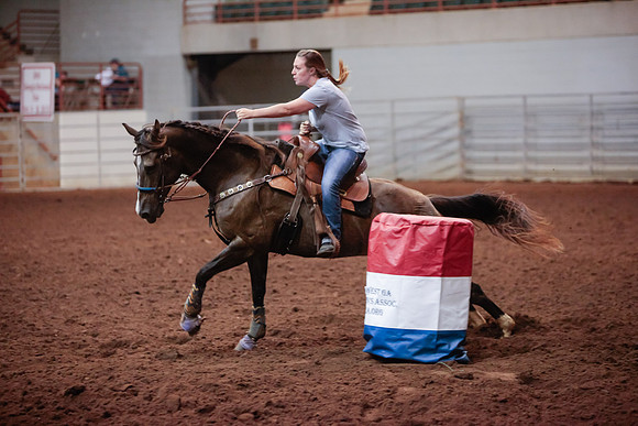 www.ngaphoto.com 2015 Georgia Federation of Saddle Clubs Championship Horse Show