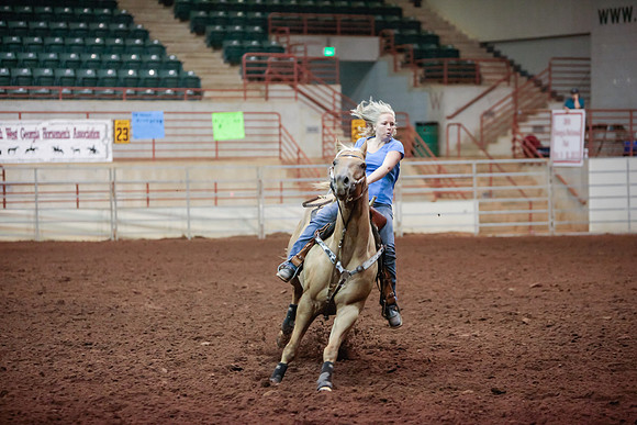 www.ngaphoto.com 2015 Georgia Federation of Saddle Clubs Championship Horse Show