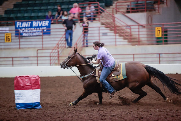 www.ngaphoto.com 2015 Georgia Federation of Saddle Clubs Championship Horse Show