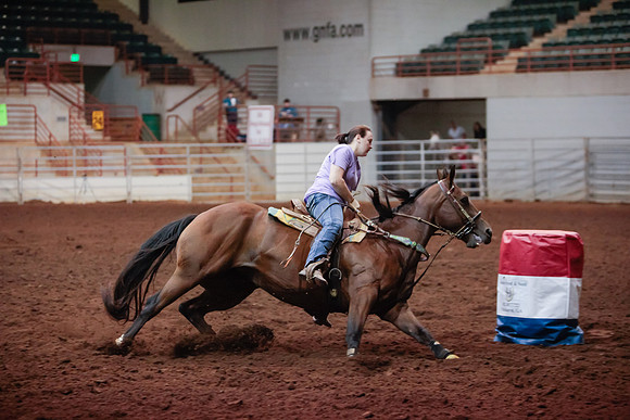 www.ngaphoto.com 2015 Georgia Federation of Saddle Clubs Championship Horse Show