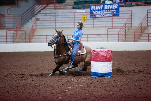 www.ngaphoto.com 2015 Georgia Federation of Saddle Clubs Championship Horse Show