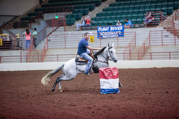 www.ngaphoto.com 2015 Georgia Federation of Saddle Clubs Championship Horse Show