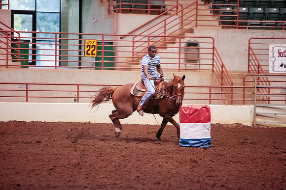 www.ngaphoto.com 2015 Georgia Federation of Saddle Clubs Championship Horse Show