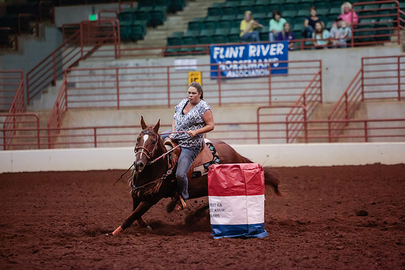 www.ngaphoto.com 2015 Georgia Federation of Saddle Clubs Championship Horse Show