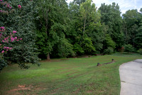 20240812-IMG_1802