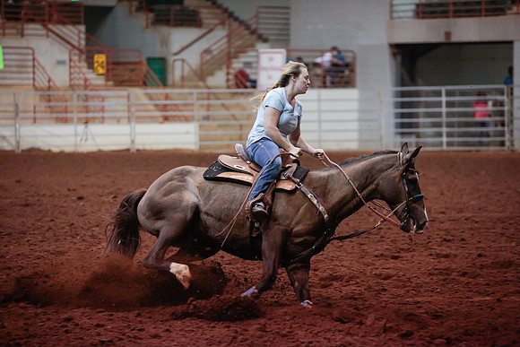 www.ngaphoto.com 2015 Georgia Federation of Saddle Clubs Championship Horse Show