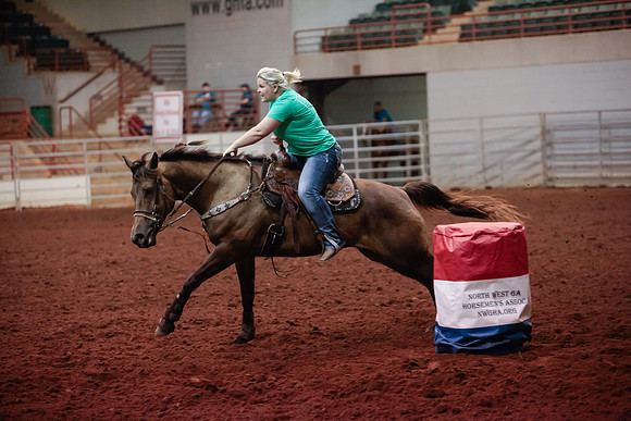 www.ngaphoto.com 2015 Georgia Federation of Saddle Clubs Championship Horse Show