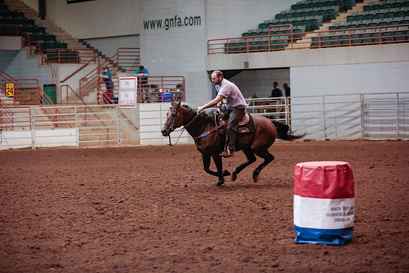 www.ngaphoto.com 2015 Georgia Federation of Saddle Clubs Championship Horse Show