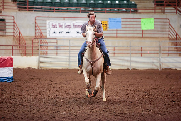 www.ngaphoto.com 2015 Georgia Federation of Saddle Clubs Championship Horse Show
