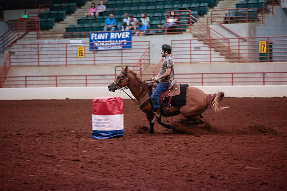 www.ngaphoto.com 2015 Georgia Federation of Saddle Clubs Championship Horse Show