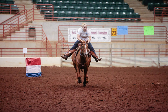 www.ngaphoto.com 2015 Georgia Federation of Saddle Clubs Championship Horse Show