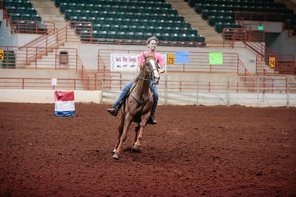 www.ngaphoto.com 2015 Georgia Federation of Saddle Clubs Championship Horse Show