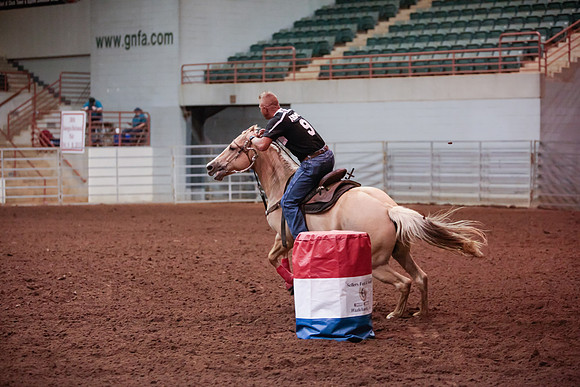 www.ngaphoto.com 2015 Georgia Federation of Saddle Clubs Championship Horse Show