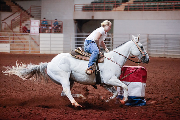 www.ngaphoto.com 2015 Georgia Federation of Saddle Clubs Championship Horse Show