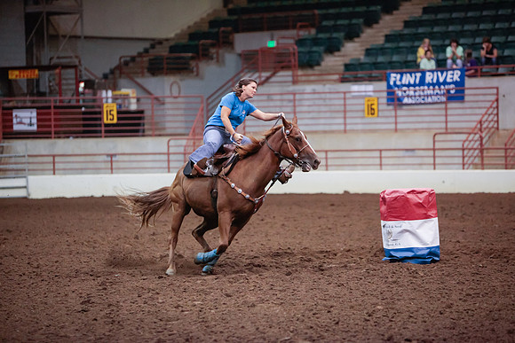 www.ngaphoto.com 2015 Georgia Federation of Saddle Clubs Championship Horse Show