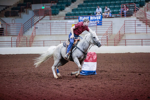 www.ngaphoto.com 2015 Georgia Federation of Saddle Clubs Championship Horse Show
