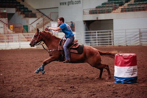 www.ngaphoto.com 2015 Georgia Federation of Saddle Clubs Championship Horse Show
