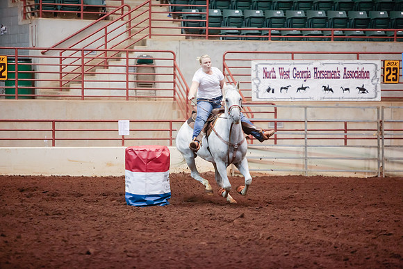 www.ngaphoto.com 2015 Georgia Federation of Saddle Clubs Championship Horse Show