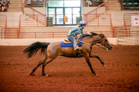 www.ngaphoto.com 2015 Georgia Federation of Saddle Clubs Championship Horse Show