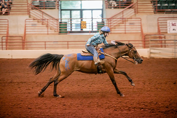 www.ngaphoto.com 2015 Georgia Federation of Saddle Clubs Championship Horse Show