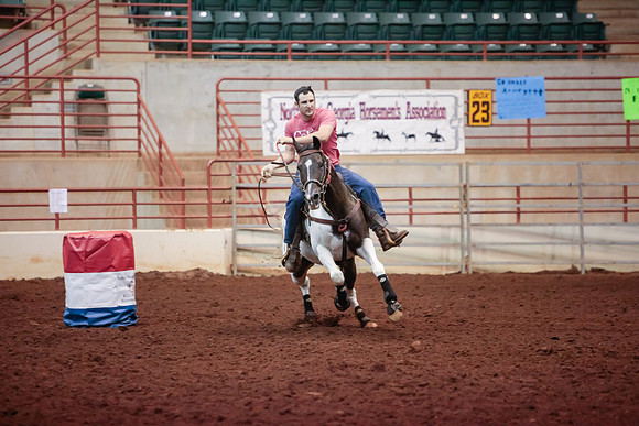 www.ngaphoto.com 2015 Georgia Federation of Saddle Clubs Championship Horse Show