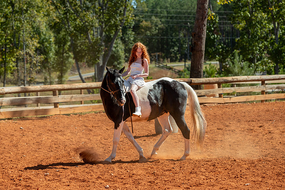 20241020-IMG_0985-2