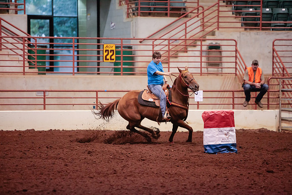www.ngaphoto.com 2015 Georgia Federation of Saddle Clubs Championship Horse Show