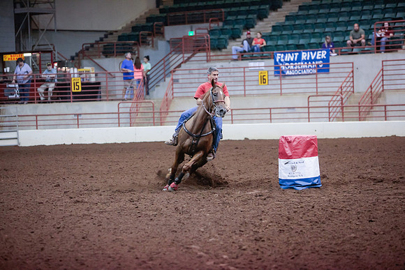 www.ngaphoto.com 2015 Georgia Federation of Saddle Clubs Championship Horse Show