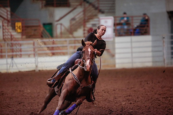 www.ngaphoto.com 2015 Georgia Federation of Saddle Clubs Championship Horse Show
