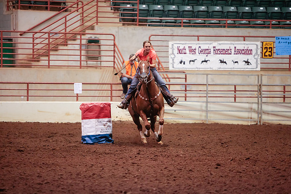 www.ngaphoto.com 2015 Georgia Federation of Saddle Clubs Championship Horse Show