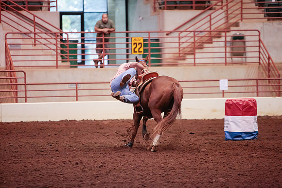 www.ngaphoto.com 2015 Georgia Federation of Saddle Clubs Championship Horse Show