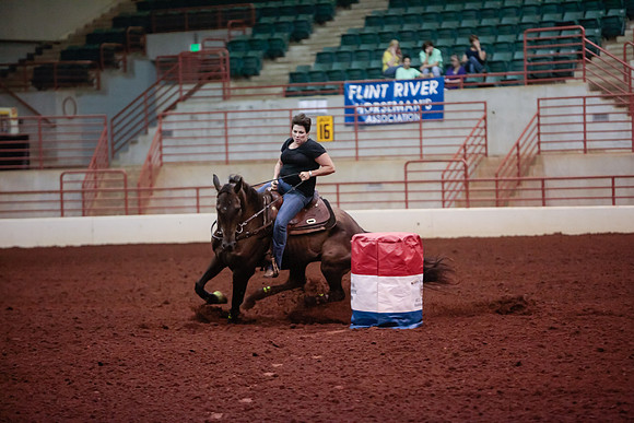 www.ngaphoto.com 2015 Georgia Federation of Saddle Clubs Championship Horse Show