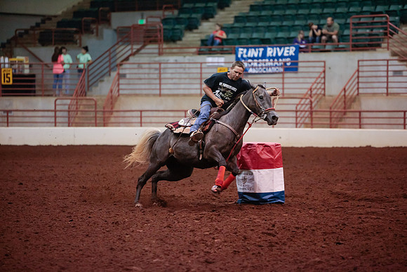 www.ngaphoto.com 2015 Georgia Federation of Saddle Clubs Championship Horse Show