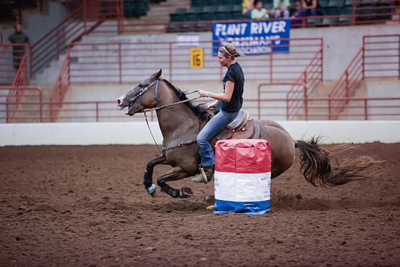 www.ngaphoto.com 2015 Georgia Federation of Saddle Clubs Championship Horse Show