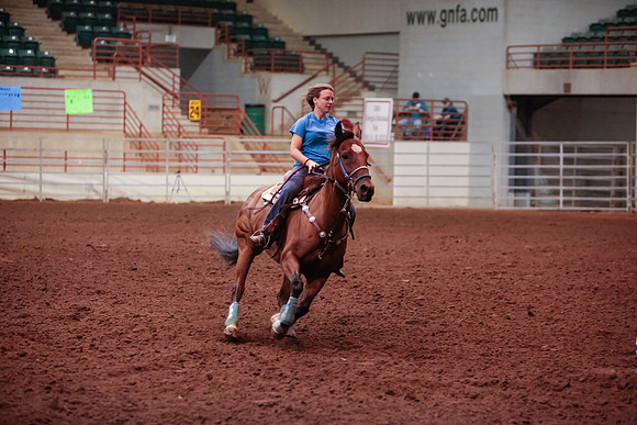 www.ngaphoto.com 2015 Georgia Federation of Saddle Clubs Championship Horse Show