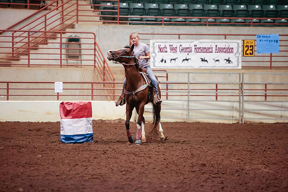 www.ngaphoto.com 2015 Georgia Federation of Saddle Clubs Championship Horse Show