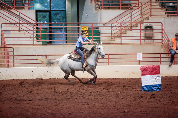 www.ngaphoto.com 2015 Georgia Federation of Saddle Clubs Championship Horse Show