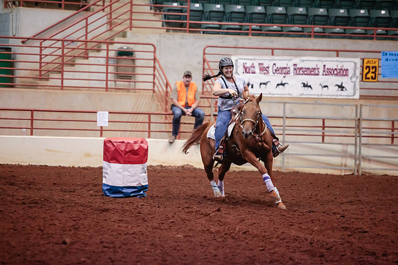 www.ngaphoto.com 2015 Georgia Federation of Saddle Clubs Championship Horse Show