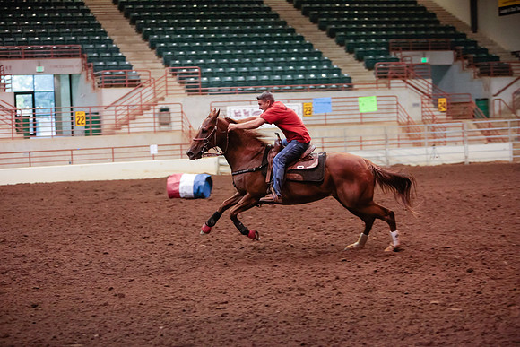 www.ngaphoto.com 2015 Georgia Federation of Saddle Clubs Championship Horse Show